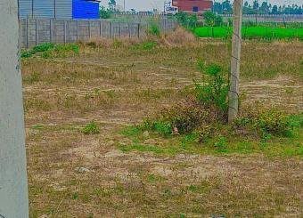 Property_217A04A53A90